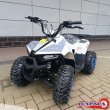 КВАДРОЦИКЛ Motoland VOX110 EAGLE