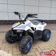 КВАДРОЦИКЛ Motoland VOX110 EAGLE