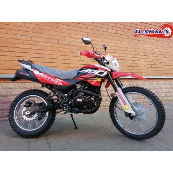 Мотоцикл кроссовый Racer Panther RC300GY8Х 