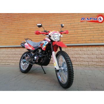 Мотоцикл кроссовый Racer Panther RC300GY8Х 
