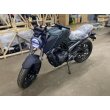 Мотоцикл RACER RC250-XZR-X CAIMAN