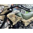 Мотоцикл кроссовый RACER Panther ZWC2-300X 
