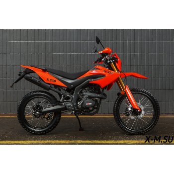 Мотоцикл MINSK X 250 Enduro 
